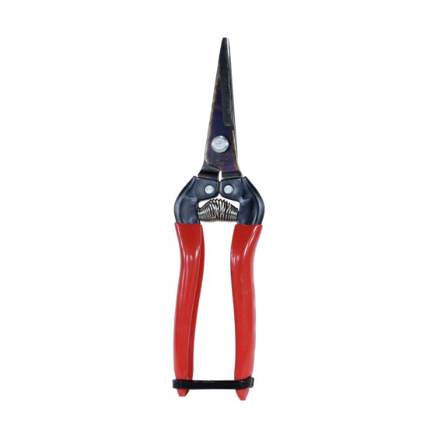 ARS Frukt- og blomstersaks, non-slip, 190mm