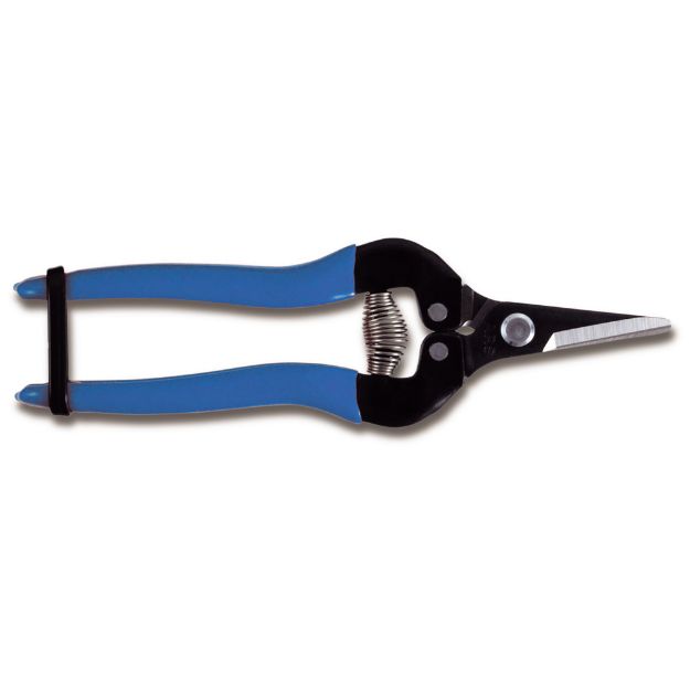 ARS Frukt- og blomstersaks, blått håndtak, non-slip, 170mm