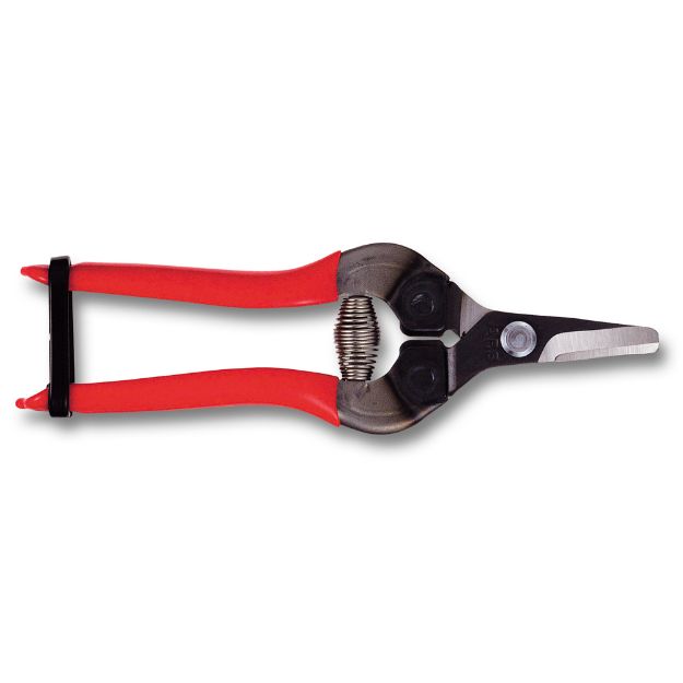 ARS Frukt- og grønnsakssaks, kurvet skjær, non-slip, 160mm