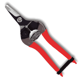 Bilde for kategori Blomster- og fruktsakser